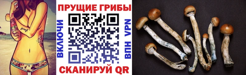 хочу наркоту  Закаменск  ОМГ ОМГ как войти  Галлюциногенные грибы Magic Shrooms 